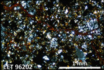 Thin Section Photo of Sample EET 96202 in Cross-Polarized Light with 2.5X Magnification