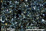 Thin Section Photo of Sample EET 96238 in Cross-Polarized Light with 2.5X Magnification