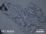 Thin Section Photo of Sample EET 96262 in Reflected Light with 1.25X Magnification