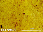 Thin section photo of EET 99402 ppl