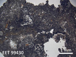 Thin Section Photo of Sample EET 99430 in Plane-Polarized Light with  Magnification