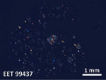 Thin Section Photo of Sample EET 99437 in Cross-Polarized Light with  Magnification