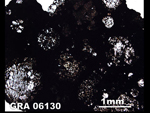 Thin Section Photo of Sample GRA 06130  in Plane-Polarized Light