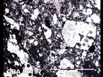 Thin Section Photo of Sample GRA 06157  in Plane-Polarized Light