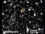 Thin Section Photo of Sample GRA 06172  in Plane-Polarized Light