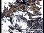 Thin Section Photo of Sample GRA 06189  in Plane-Polarized Light
