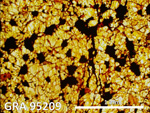 Thin Section Photograph of Sample GRA 95209 in Plane-Polarized Light