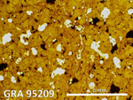 Thin Section Photograph of Sample GRA 95209 in Reflected Light