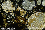 Thin Section Photo of Sample GRA 95229 in Plane-Polarized Light with 2.5X Magnification