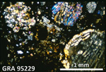 Thin Section Photo of Sample GRA 95229 in Cross-Polarized Light with 2.5X Magnification