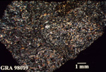 Thin Section Photo of Sample GRA 98019 in Cross-Polarized Light with 1.25X Magnification