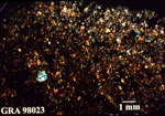 Thin Section Photo of Sample GRA 98023 in Cross-Polarized Light with 1.25X Magnification
