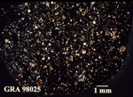 Thin Section Photo of Sample GRA 98025 in Cross-Polarized Light with 1.25X Magnification