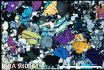 Thin Section Photo of Sample GRA 98098 in Cross-Polarized Light with 2.5X Magnification