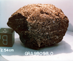 Lab Photo of Sample GRA 98098 Showing East View