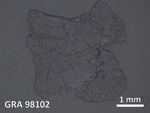 Thin Section Photo of Sample GRA 98102 in Reflected Light with  Magnification