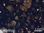 Thin Section Photo of Sample GRO 03116 in Plane-Polarized Light with  Magnification