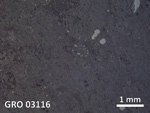 Thin Section Photo of Sample GRO 03116 in Reflected Light with  Magnification