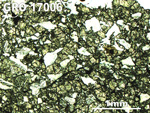 Thin Section Photo of Sample GRO 17006 in Plane-Polarized Light with 2.5X Magnification