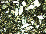 Thin Section Photo of Sample GRO 17006 in Plane-Polarized Light with 5X Magnification