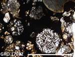 Thin Section Photo of Sample GRO 17022 in Plane-Polarized Light with 2.5X Magnification