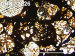 Thin Section Photo of Sample GRO 17026 in Plane-Polarized Light with 5X Magnification