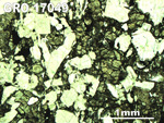 Thin Section Photo of Sample GRO 17049 in Plane-Polarized Light with 2.5X Magnification
