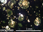 Thin Section Photo of Sample GRO 17060 in Cross-Polarized Light with 2.5X Magnification