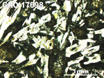 Thin Section Photo of Sample GRO 17098 in Plane-Polarized Light with 2.5X Magnification