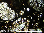 Thin Section Photo of Sample GRO 17142 in Plane-Polarized Light with 2.5X Magnification
