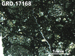 Thin Section Photo of Sample GRO 17168 in Plane-Polarized Light with 2.5X Magnification