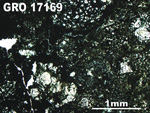 Thin Section Photo of Sample GRO 17169 in Plane-Polarized Light with 2.5X Magnification