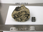 Lab Photo of Sample GRO 17175 Displaying Bottom Orientation