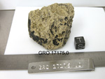 Lab Photo of Sample GRO 17175 Displaying South Orientation
