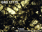Thin Section Photo of Sample GRO 17175 in Plane-Polarized Light with 5X Magnification
