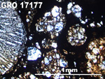 Thin Section Photo of Sample GRO 17177 in Plane-Polarized Light with 5X Magnification