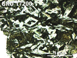 Thin Section Photo of Sample GRO 17200 in Plane-Polarized Light with 2.5X Magnification