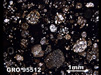 Thin Section Photograph of Sample GRO 95512 in Plane-Polarized Light