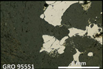 Thin Section Photo of Sample GRO 95551 in Reflected Light with 2.5X Magnification