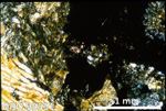 Thin Section Photo of Sample GRO 95551 in Cross-Polarized Light with 2.5X Magnification