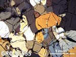 Thin Section Photograph of Sample GRO 95555 in Cross-Polarized Light