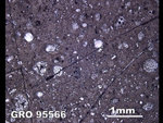 Thin Section Photo of Sample GRO 95566 in Reflected Light
