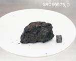 Lab Photograph of Sample GRO 95575 (Photo Number S99-01887)