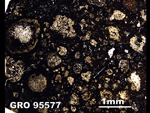 Thin Section Photo of Sample GRO 95577 in Plane-Polarized Light
