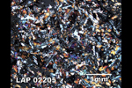Thin Section Photograph of Sample LAP 02205 in Cross-Polarized Light