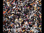 Thin Section Photograph of Sample LAP 02226 in Cross-Polarized Light