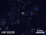 Thin Section Photo of Sample LAP 02228 in Cross-Polarized Light with  Magnification