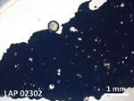 Thin Section Photo of Sample LAP 02302 in Plane-Polarized Light with  Magnification