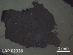 Thin Section Photo of Sample LAP 02336 in Reflected Light with  Magnification
