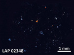 Thin Section Photo of Sample LAP 02348 in Cross-Polarized Light with  Magnification